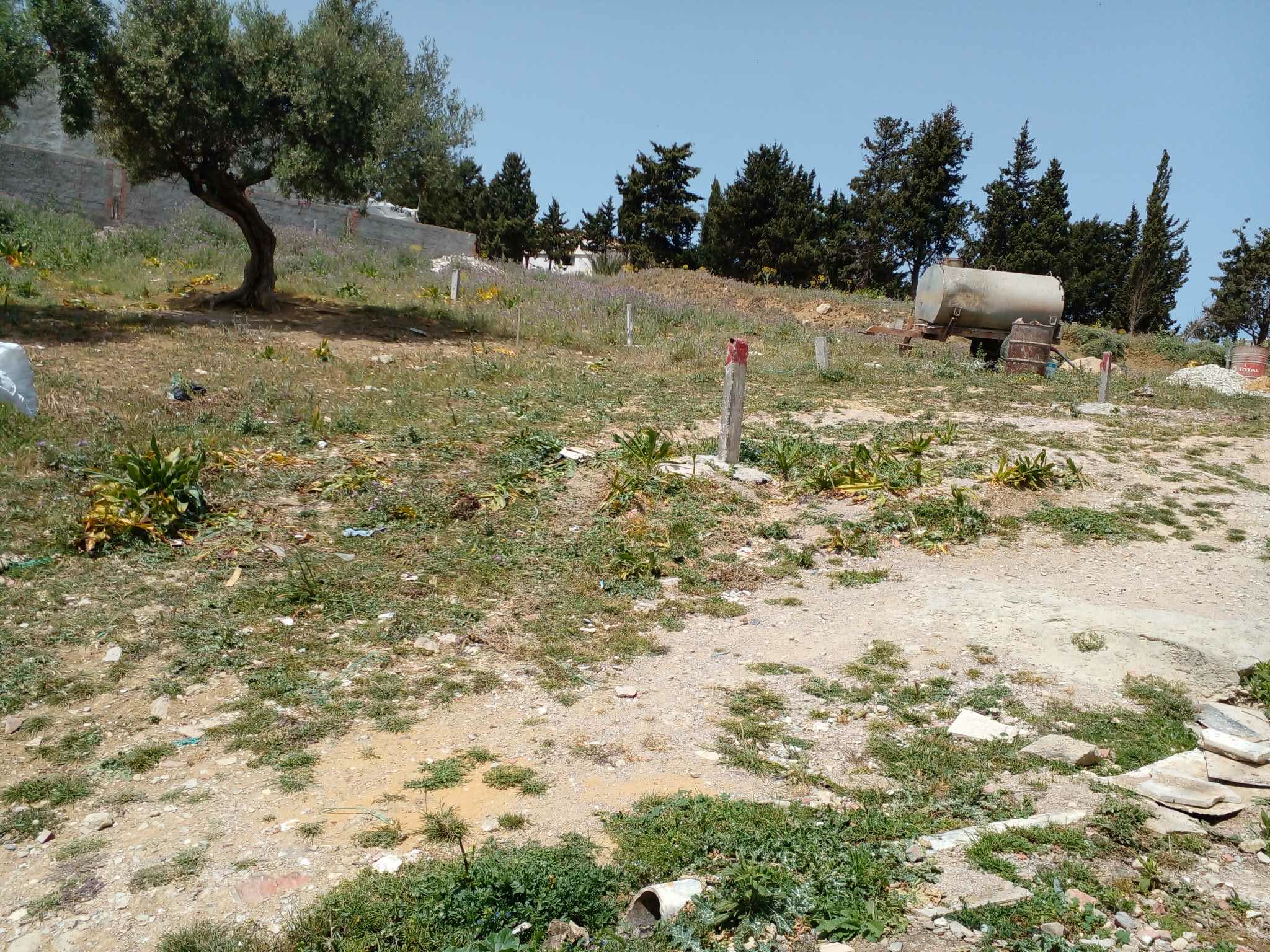 Bizerte Nord&nbsp;Bizerte&nbsp;Terrain&nbsp;Terrain nu&nbsp;Affaire luxe