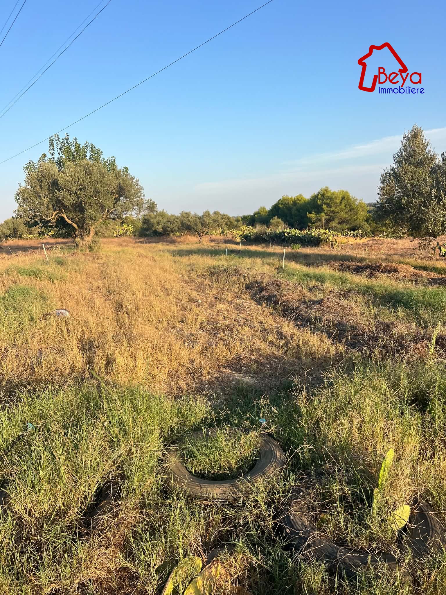Korba&nbsp;Korba&nbsp;Terrain&nbsp;Terrain agricole&nbsp;Terrain lamine vta033